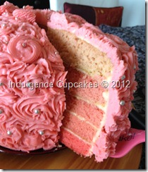 Pink Ombre cake (19)